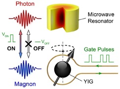 A diagram of a hybrid magnetic quantum processor.